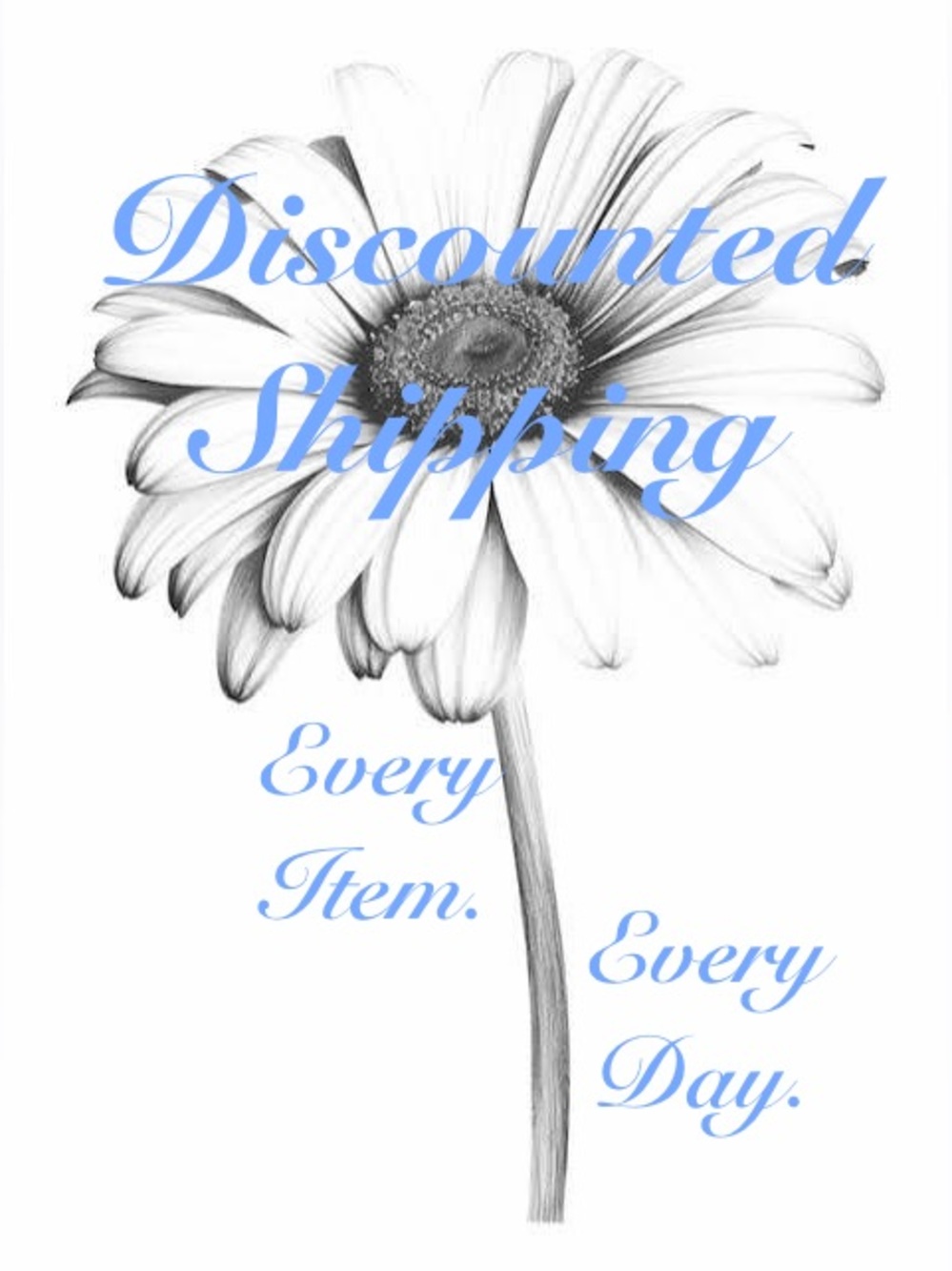 Yes, no kidding! Discounted shipping on every single item, every single day!